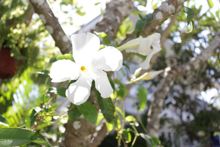 Others 2, Moeimanee Resort, Tak, Mae Sot