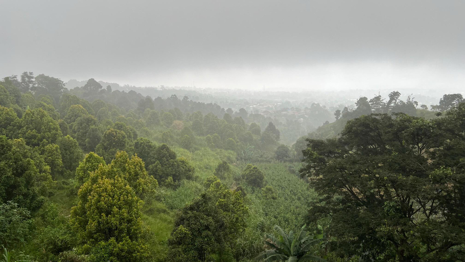 Exterior & Views 5, Serenity and fresh air villa 36 Gunung Salak, Bogor