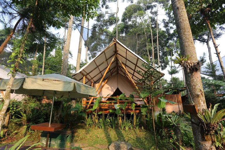 Exterior & Views 5, Pondok Rasamala - Resort Bernuansa Alam Pedesaan, Bogor