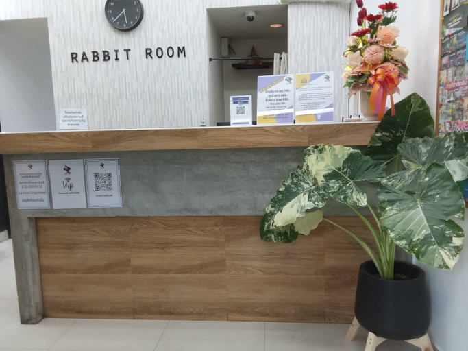 Public Area, Rabbit Room, Chatuchak