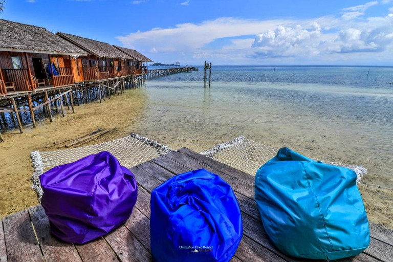 Others 4, HamuEco Raja Ampat Dive Resort, Raja Ampat