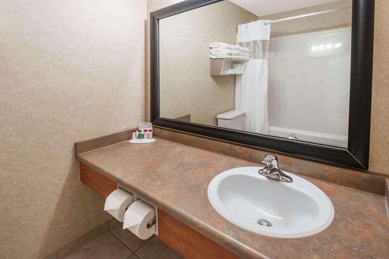 Bathroom 4, Stony Plain Inn & Suites, Division No. 11