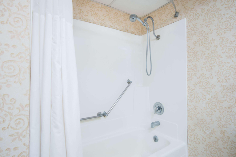 Bathroom 4, Ramada Plaza & Conf Center by Wyndham Gillette, Campbell