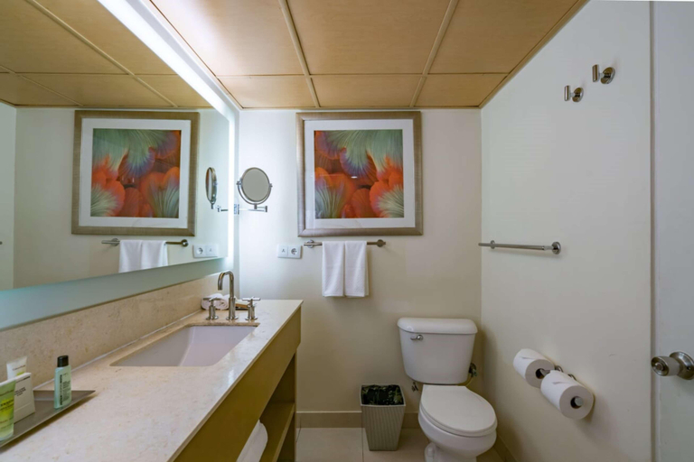 Bathroom 5, Dreams Curacao Resort & Spa