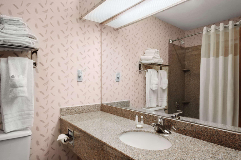 Bathroom, Coratel Inn & Suites by Jasper New Braunfels, Comal
