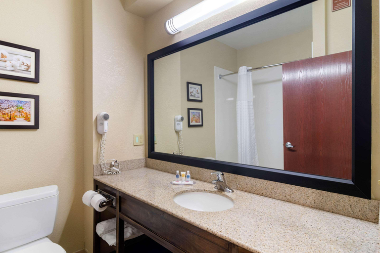 Bathroom 5, Comfort Inn & Suites, Spalding