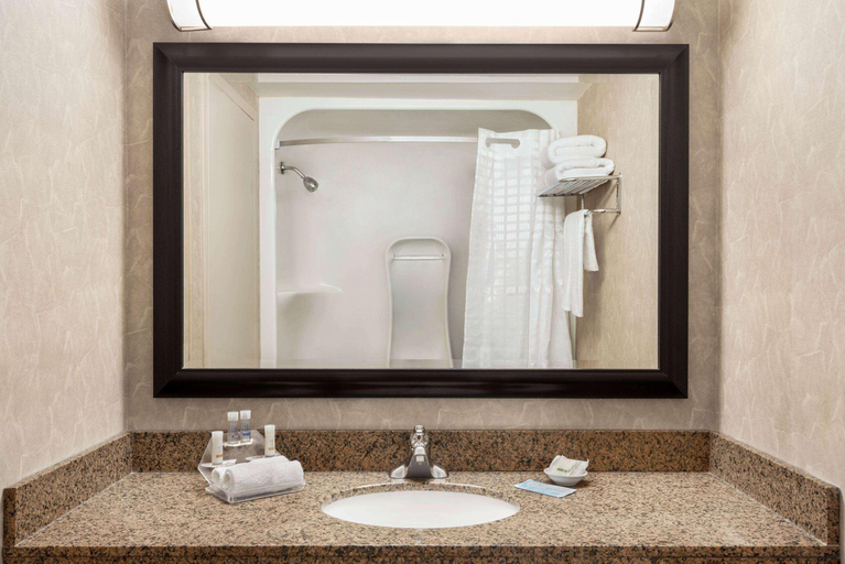 Bathroom 4, Royal Hotel West Edmonton Trademark Collection, Division No. 11