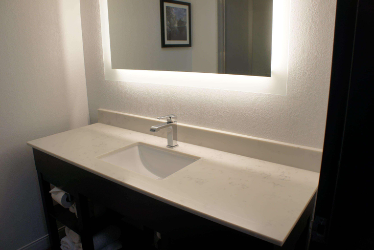 Bathroom, La Quinta Inn Suites Raleigh Downtown North, Wake