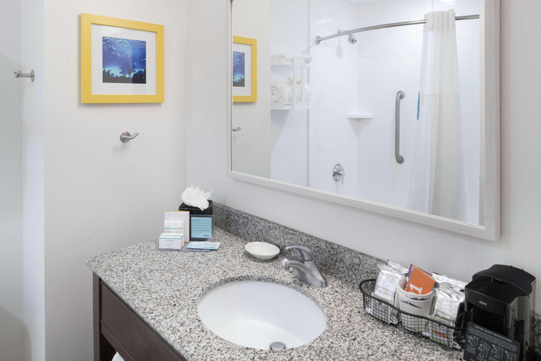 Bathroom 4, Hampton Inn & Suites Atlanta-Downtown, Atlanta