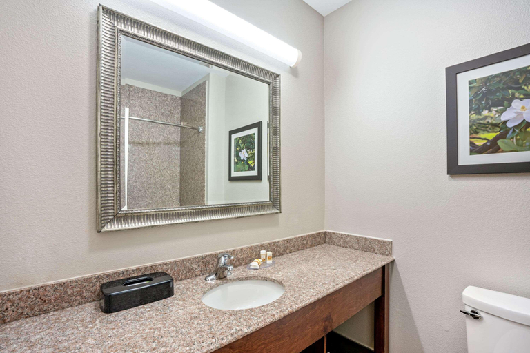 Bathroom 4, La Quinta Inn & Suites by Wyndham Houston - Magnolia, Montgomery