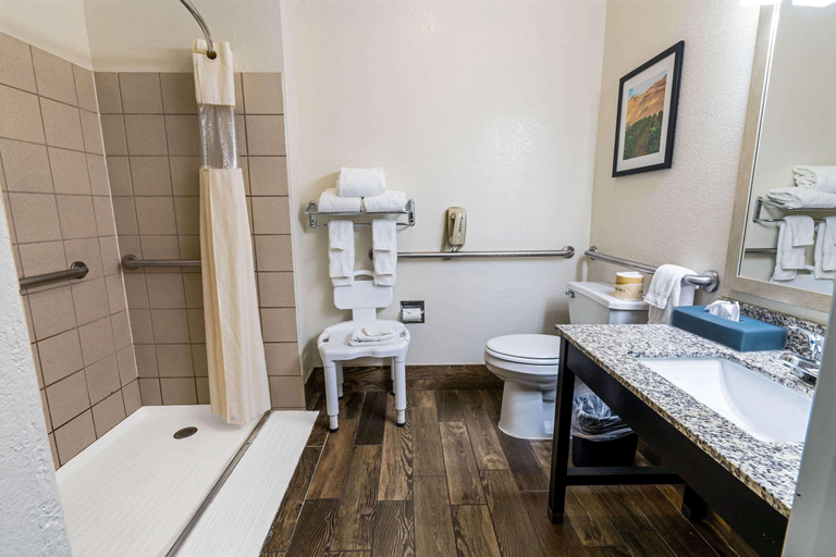 Bathroom 4, La Quinta Inn Suites By Wyndham Fruita, Mesa