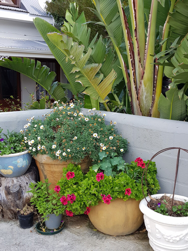 Hemel & Aarde Village Accommodation, Overberg