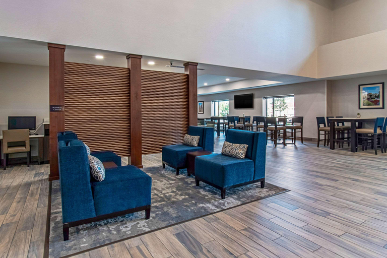 Public Area 3, Comfort Suites Grove City - Columbus South, Franklin