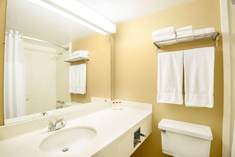 Bathroom, Ramada by Wyndham Denver Downtown, Denver