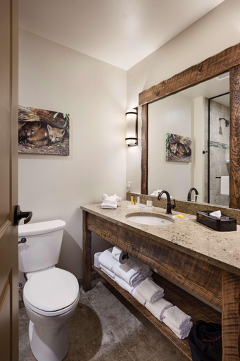 Bathroom 4, Country Inn Suites By Radisson Kalispell, Flathead