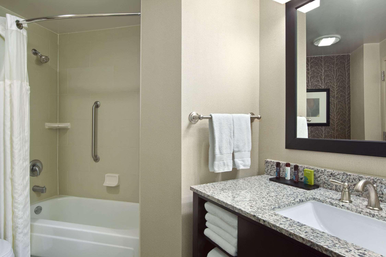 Bathroom 4, Embassy Suites by Hilton St. Louis Airport, Saint Louis