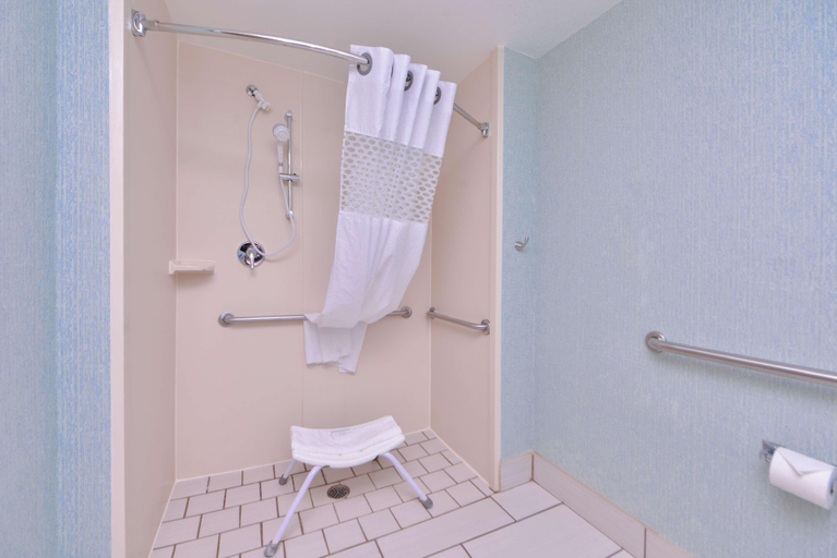 Bathroom 4, Spark By Hilton Decatur, Morgan
