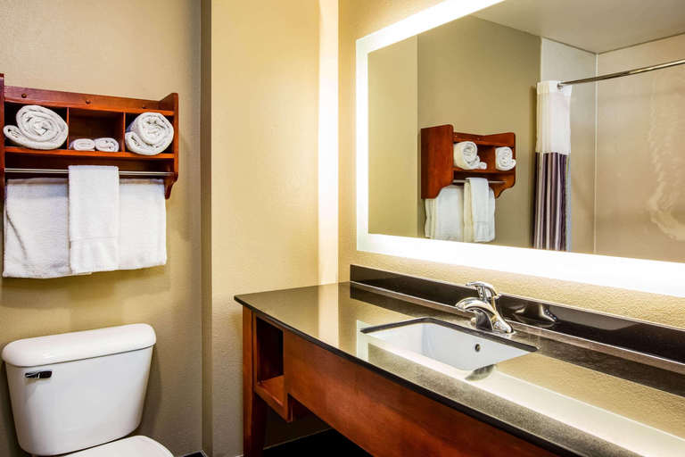 Bathroom 4, La Quinta Inn AND Suites North Platte, Lincoln