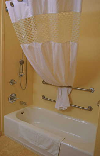 Bathroom 4, Hampton Inn & Suites Buffalo, Johnson