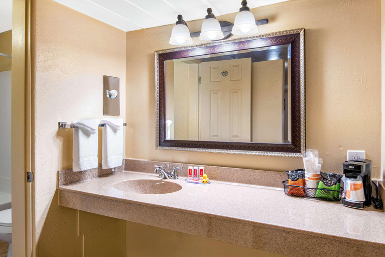 Bathroom 4, Econo Lodge Inn & Suites Durango, La Plata