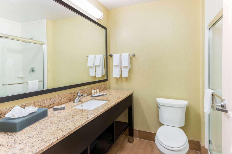 Bathroom 4, La Quinta Inn Suites By Wyndham Carlsbad, Eddy
