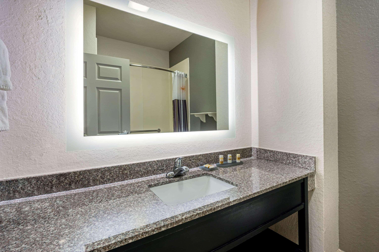 Bathroom 4, La Quinta Inn & Suites by Wyndham Conroe, Montgomery