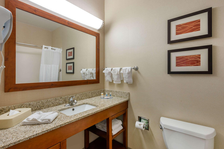 Bathroom 4, Comfort Inn DFW Airport North, Irving