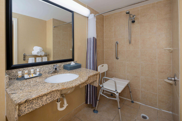 Bathroom 4, Best Western Plus Dalton Inn, Whitfield