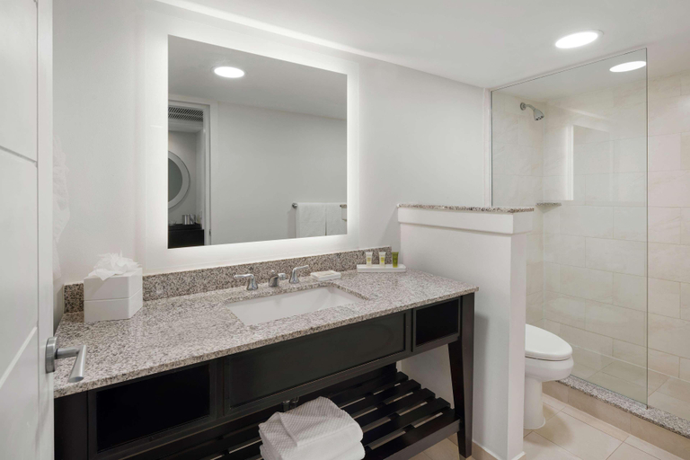 Bathroom 5, Dreams Rose Hall Resort & Spa - All Inclusive