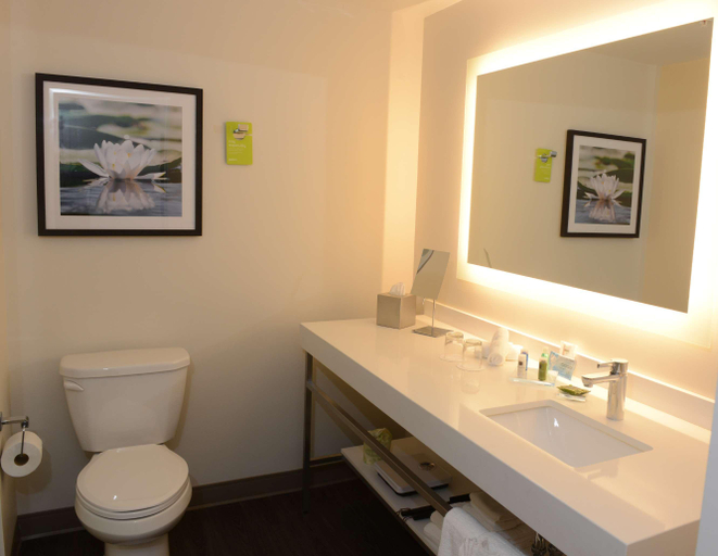 Bathroom 4, Radisson Kingswood Hotel Suites Fredericton Nb, York