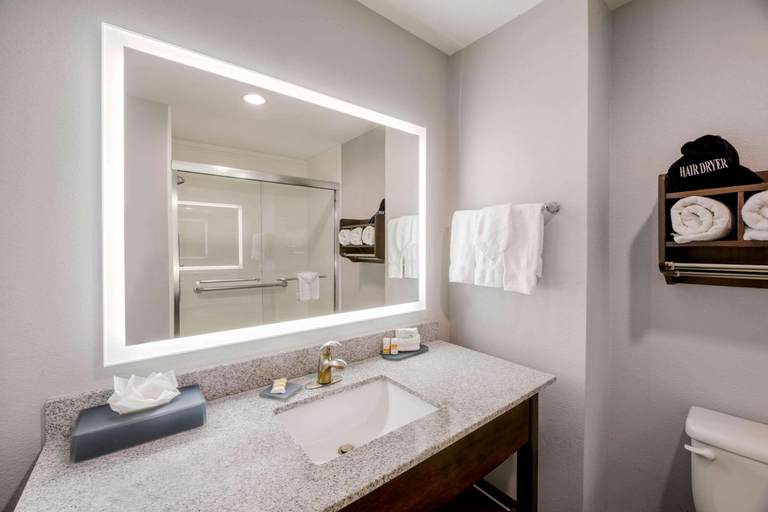 Bathroom 4, La Quinta Inn Suites Fort Worth Eastchase, Fort Worth