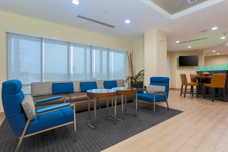 Public Area 2, TownePlace Suites McAllen Edinburg, Hidalgo