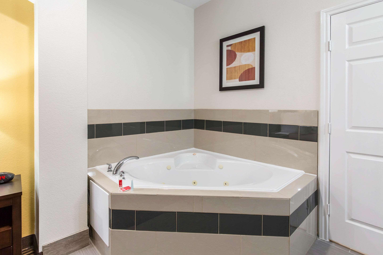 Bathroom 4, Econo Lodge Inn & Suites Spring, Houston