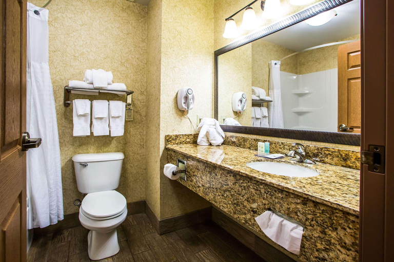 Bathroom 4, Comfort Inn & Suites Chillicothe, Livingston