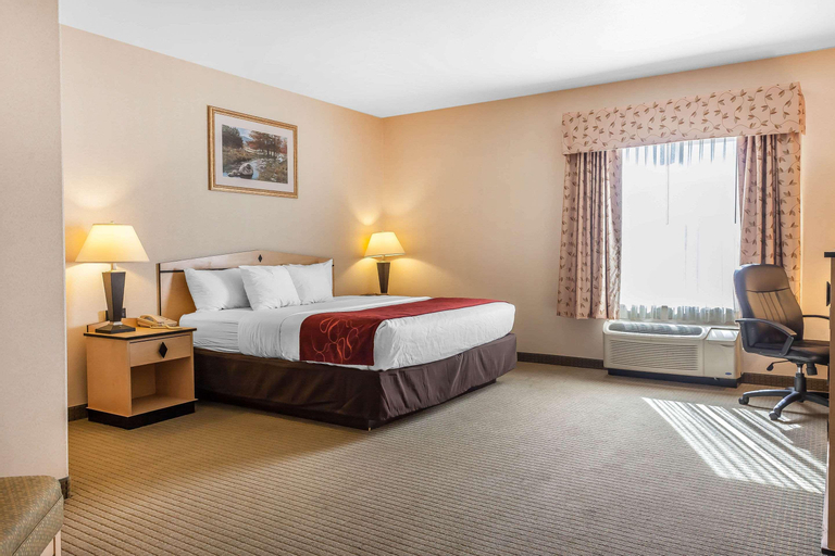 Comfort Inn & Suites Airport, Washoe