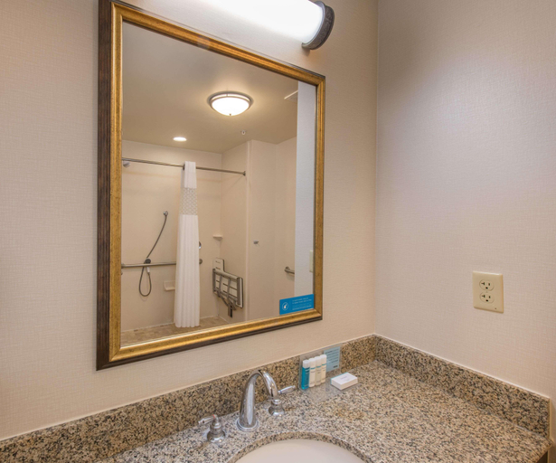 Bathroom 4, Hampton Inn & Suites Jekyll Island, Glynn