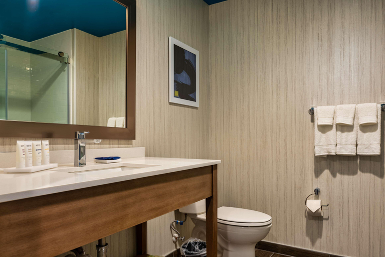 Bathroom 4, Park Inn by Radisson Florence, SC, Florence