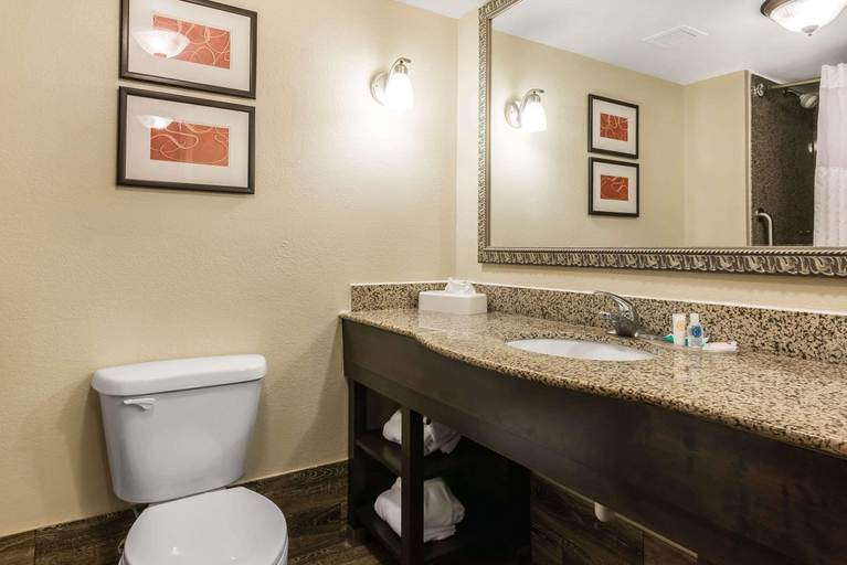 Bathroom 4, Comfort Suites near MCAS Beaufort, Beaufort