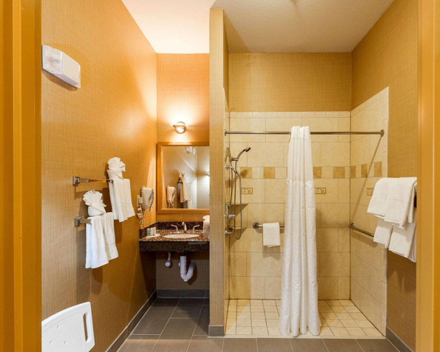 Bathroom 5, Comfort Suites Plano - Dallas North, Collin
