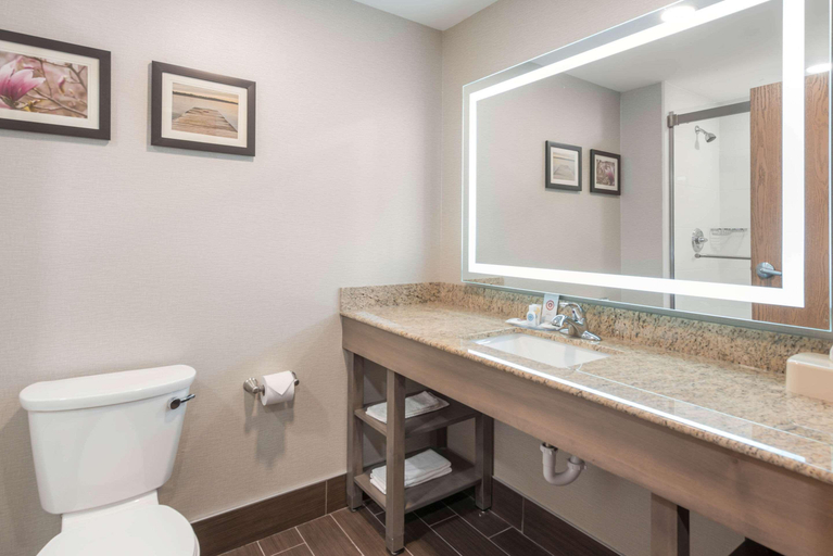 Bathroom 4, Comfort Inn Grove City Area, Franklin