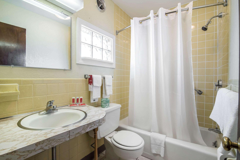 Bathroom, Econo Lodge Brattleboro South, Windham