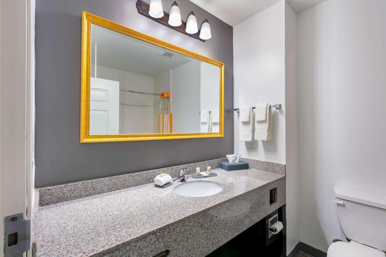 Bathroom 4, La Quinta Inn Suites By Wyndham I 20, Gregg