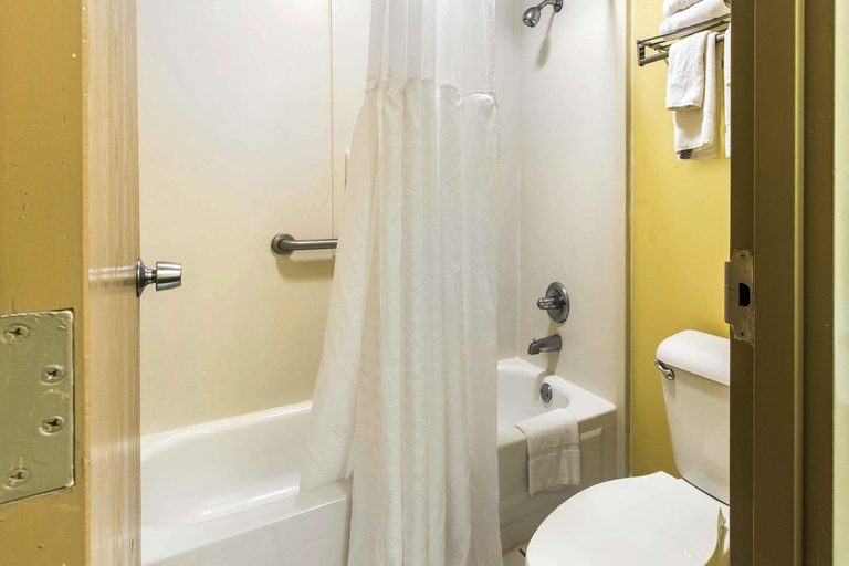 Bathroom 5, Clarion Pointe Forsyth I-75, Monroe