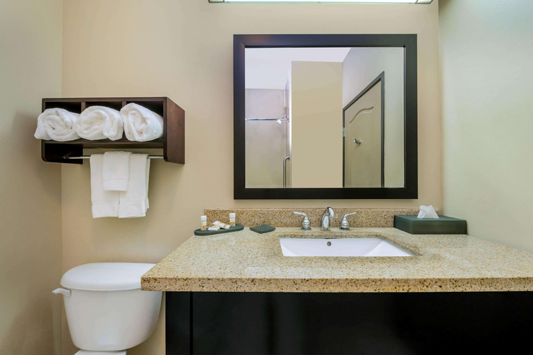 Bathroom 4, La Quinta Inn & Suites by Wyndham Marshall, Harrison