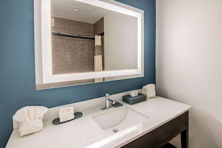 Bathroom 4, La Quinta Inn Suites By Wyndham Dalhart, Dallam