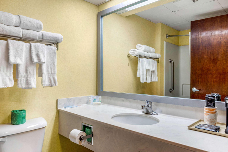 Bathroom 4, Comfort Inn (Archdale), Randolph