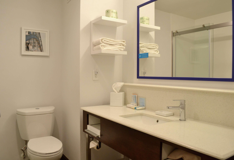 Bathroom 4, Hampton Inn Medina, Medina