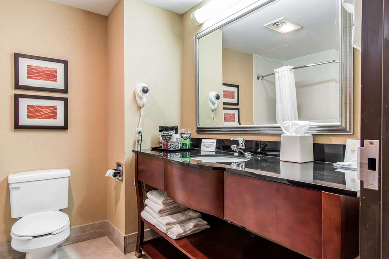 Bathroom 4, Ardmore Inn & Suites, Carter