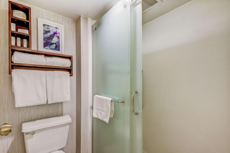 Bathroom 5, Homewood Suites by Hilton Indianapolis Carmel, Hamilton