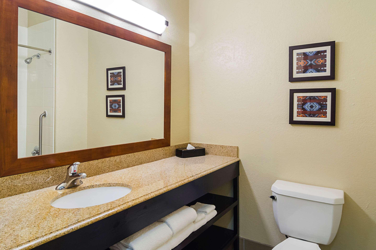 Bathroom 4, Quality Suites North IH 35, Bexar